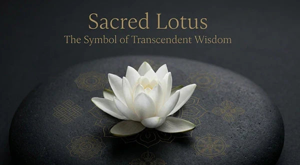 Sacred Lotus: The Symbol of Wisdom and Energy Healing